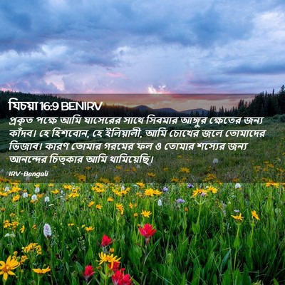 Picture 02 - যিচয়া 16:9 BENIRV - প্রকৃত পক্ষে আমি - Bible Verse Picture