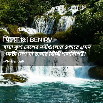 Picture 02 - যিচয়া 18:1 BENIRV - হায়! কূশ দেশের - Bible Verse Picture