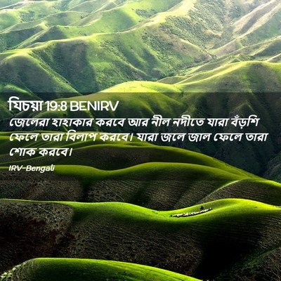 Picture 02 - যিচয়া 19:8 BENIRV - জেলেরা হাহাকার - Bible Verse Picture