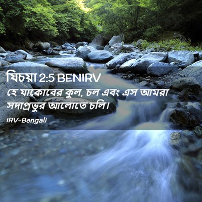 Picture 02 - যিচয়া 2:5 BENIRV - হে যাকোবের কুল, চল - Bible Verse Picture
