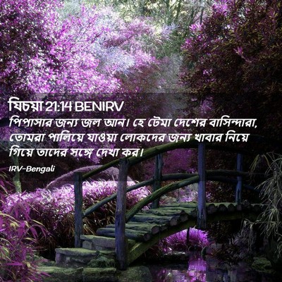 Picture 02 - যিচয়া 21:14 BENIRV - পিপাসার জন্য জল - Bible Verse Picture