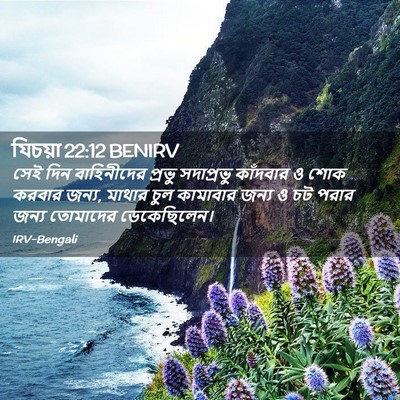 Picture 02 - যিচয়া 22:12 BENIRV - সেই দিন বাহিনীদের - Bible Verse Picture