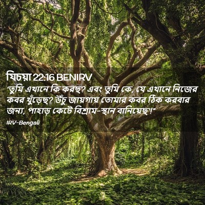 Picture 02 - যিচয়া 22:16 BENIRV - ‘তুমি এখানে কি করছ? - Bible Verse Picture