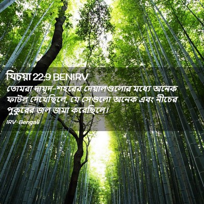 Picture 02 - যিচয়া 22:9 BENIRV - তোমরা - Bible Verse Picture