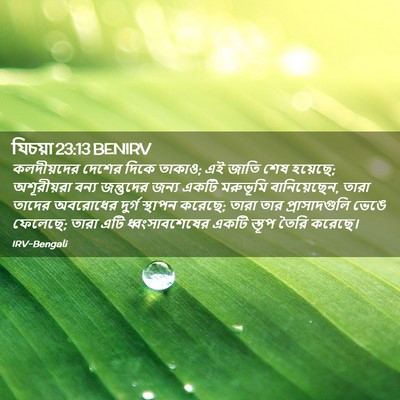 Picture 02 - যিচয়া 23:13 BENIRV - কলদীয়দের দেশের - Bible Verse Picture
