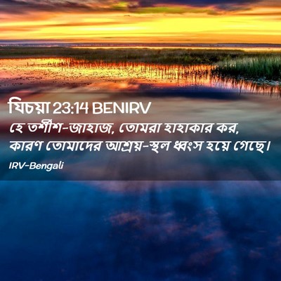 Picture 02 - যিচয়া 23:14 BENIRV - হে তর্শীশ-জাহাজ, - Bible Verse Picture