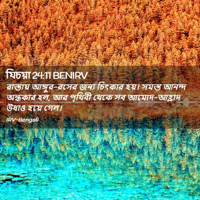 Picture 02 - যিচয়া 24:11 BENIRV - রাস্তায় - Bible Verse Picture