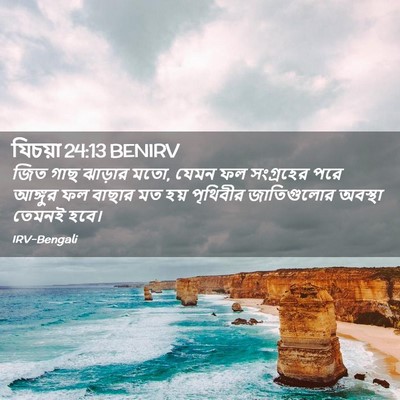Picture 02 - যিচয়া 24:13 BENIRV - জিত গাছ ঝাড়ার মতো, - Bible Verse Picture