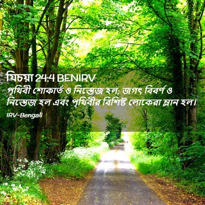 Picture 02 - যিচয়া 24:4 BENIRV - পৃথিবী শোকার্ত ও - Bible Verse Picture