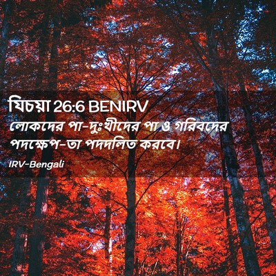 Picture 02 - যিচয়া 26:6 BENIRV - লোকদের - Bible Verse Picture