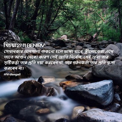 Picture 02 - যিচয়া 27:11 BENIRV - সেখানকার ডালপালা - Bible Verse Picture