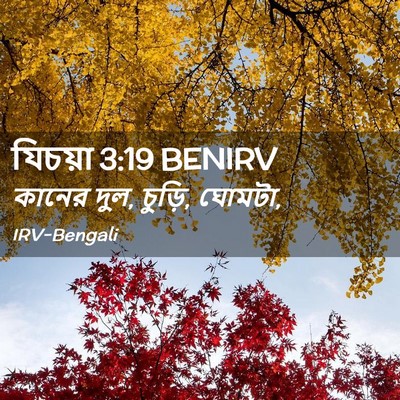 Picture 02 - যিচয়া 3:19 BENIRV - কানের দুল, চুড়ি, - Bible Verse Picture