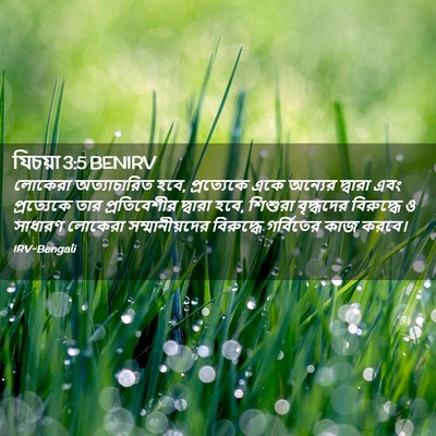 Picture 02 - যিচয়া 3:5 BENIRV - লোকেরা অত্যাচারিত - Bible Verse Picture