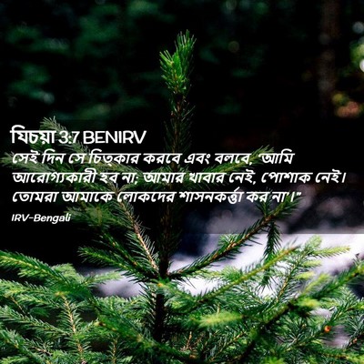 Picture 02 - যিচয়া 3:7 BENIRV - সেই দিন সে চিত্কার - Bible Verse Picture
