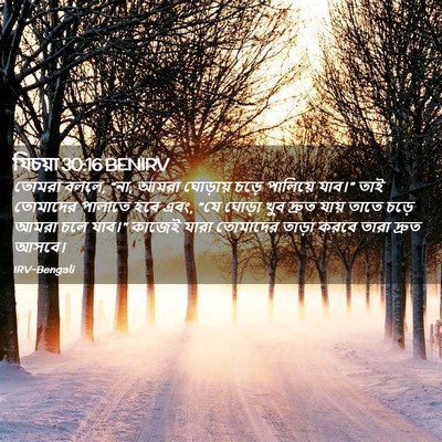 Picture 02 - যিচয়া 30:16 BENIRV - তোমরা বললে, “না, - Bible Verse Picture