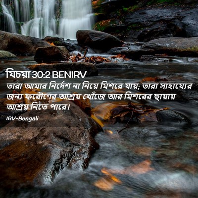 Picture 02 - যিচয়া 30:2 BENIRV - তারা আমার নির্দেশ - Bible Verse Picture
