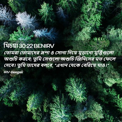 Picture 02 - যিচয়া 30:22 BENIRV - তোমরা তোমাদের - Bible Verse Picture