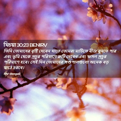 Picture 02 - যিচয়া 30:23 BENIRV - তিনি তোমাদের - Bible Verse Picture