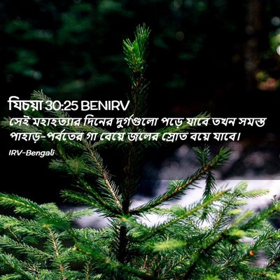 Picture 02 - যিচয়া 30:25 BENIRV - সেই মহাহত্যার - Bible Verse Picture