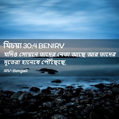Picture 02 - যিচয়া 30:4 BENIRV - যদিও সোয়নে তাদের - Bible Verse Picture
