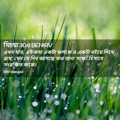 Picture 02 - যিচয়া 30:8 BENIRV - এখন যাও, এই কথা - Bible Verse Picture