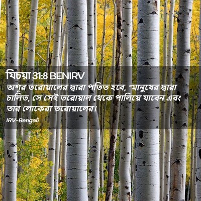 Picture 02 - যিচয়া 31:8 BENIRV - অশূর তরোয়ালের - Bible Verse Picture