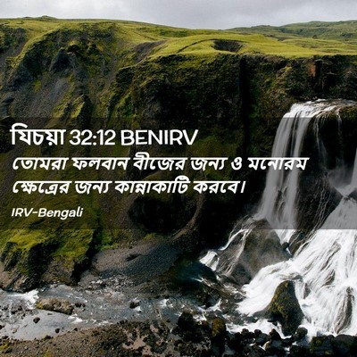 Picture 02 - যিচয়া 32:12 BENIRV - তোমরা ফলবান বীজের - Bible Verse Picture