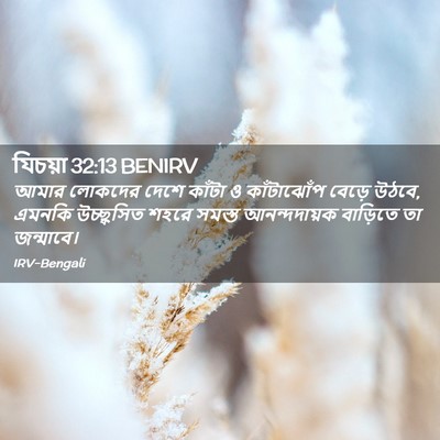 Picture 02 - যিচয়া 32:13 BENIRV - আমার লোকদের দেশে - Bible Verse Picture