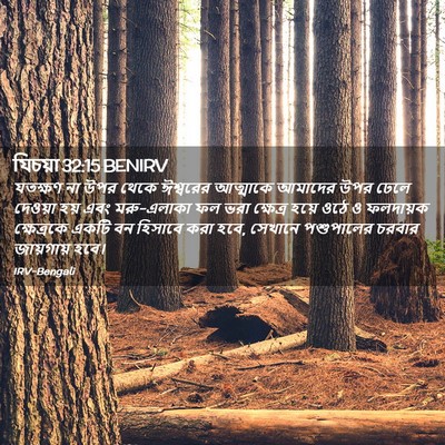 Picture 02 - যিচয়া 32:15 BENIRV - যতক্ষণ না উপর থেকে - Bible Verse Picture