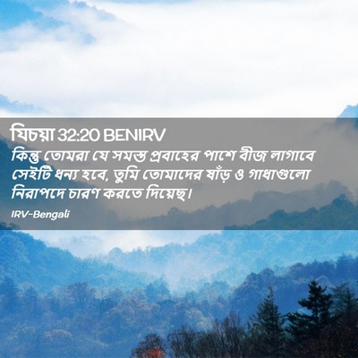 Picture 02 - যিচয়া 32:20 BENIRV - কিন্তু তোমরা যে - Bible Verse Picture