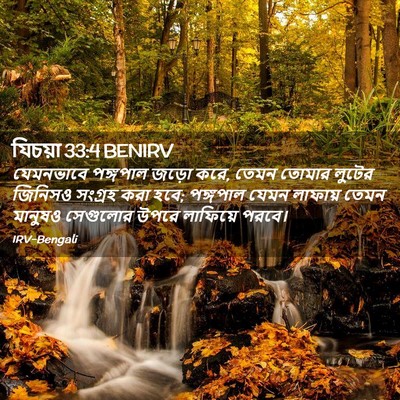 Picture 02 - যিচয়া 33:4 BENIRV - যেমনভাবে পঙ্গপাল - Bible Verse Picture