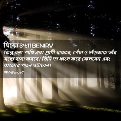 Picture 02 - যিচয়া 34:11 BENIRV - কিন্তু বন্য পাখি - Bible Verse Picture