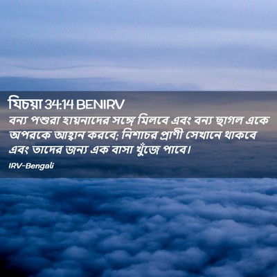 Picture 02 - যিচয়া 34:14 BENIRV - বন্য পশুরা - Bible Verse Picture