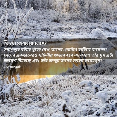 Picture 02 - যিচয়া 34:16 BENIRV - সদাপ্রভুর বইয়ে - Bible Verse Picture