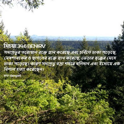 Picture 02 - যিচয়া 34:6 BENIRV - সদাপ্রভুর তরোয়াল - Bible Verse Picture