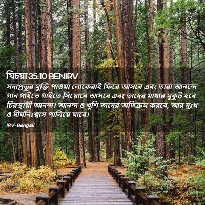 Picture 02 - যিচয়া 35:10 BENIRV - সদাপ্রভুর মুক্তি - Bible Verse Picture