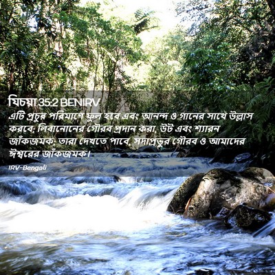 Picture 02 - যিচয়া 35:2 BENIRV - এটি প্রচুর - Bible Verse Picture