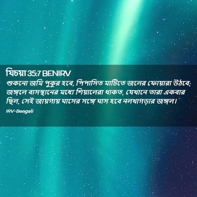 Picture 02 - যিচয়া 35:7 BENIRV - শুকনো জমি পুকুর - Bible Verse Picture