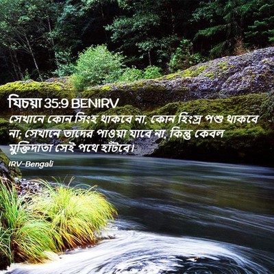 Picture 02 - যিচয়া 35:9 BENIRV - সেখানে কোন সিংহ - Bible Verse Picture