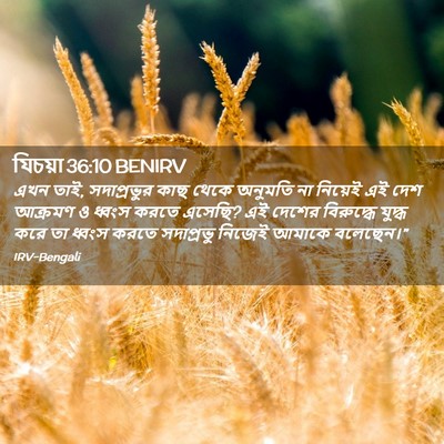 Picture 02 - যিচয়া 36:10 BENIRV - এখন তাই, সদাপ্রভুর - Bible Verse Picture
