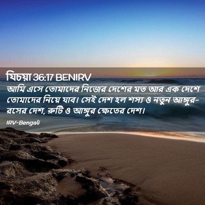 Picture 02 - যিচয়া 36:17 BENIRV - আমি এসে তোমাদের - Bible Verse Picture