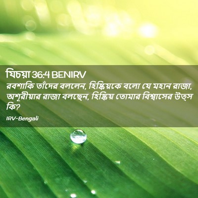 Picture 02 - যিচয়া 36:4 BENIRV - রবশাকি তাঁদের - Bible Verse Picture