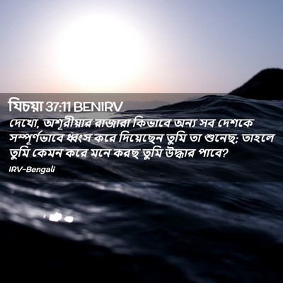 Picture 02 - যিচয়া 37:11 BENIRV - দেখো, অশূরীয়ার - Bible Verse Picture