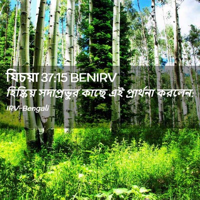 Picture 02 - যিচয়া 37:15 BENIRV - হিষ্কিয় - Bible Verse Picture