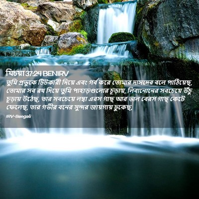 Picture 02 - যিচয়া 37:24 BENIRV - তুমি প্রভুকে - Bible Verse Picture