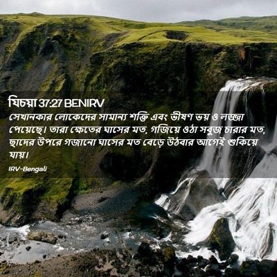 Picture 02 - যিচয়া 37:27 BENIRV - সেখানকার লোকেদের - Bible Verse Picture