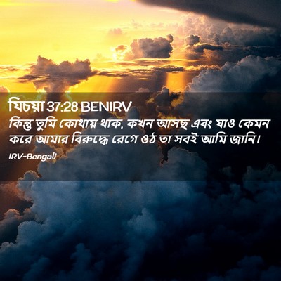 Picture 02 - যিচয়া 37:28 BENIRV - কিন্তু তুমি - Bible Verse Picture