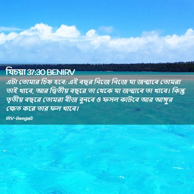 Picture 02 - যিচয়া 37:30 BENIRV - এটা তোমার চিহ্ন - Bible Verse Picture