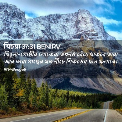 Picture 02 - যিচয়া 37:31 BENIRV - যিহূদা-গোষ্ঠীর - Bible Verse Picture