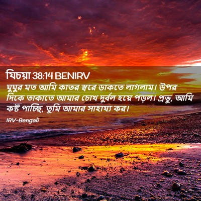 Picture 02 - যিচয়া 38:14 BENIRV - ঘুঘুর মত আমি কাতর - Bible Verse Picture